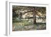 Pelham Bay Park, NYC, 1884-Harry Fenn-Framed Giclee Print