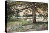 Pelham Bay Park, NYC, 1884-Harry Fenn-Stretched Canvas