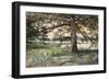 Pelham Bay Park, NYC, 1884-Harry Fenn-Framed Giclee Print