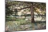 Pelham Bay Park, NYC, 1884-Harry Fenn-Mounted Giclee Print