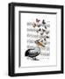 Pelican and Butterflies-Fab Funky-Framed Art Print