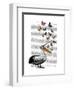 Pelican and Butterflies-Fab Funky-Framed Art Print