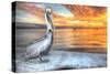 Pelican and Fire Sky-Robert Goldwitz-Stretched Canvas