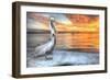 Pelican and Fire Sky-Robert Goldwitz-Framed Photographic Print