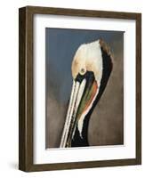 Pelican Bay-Sydney Edmunds-Framed Giclee Print