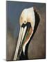 Pelican Bay-Sydney Edmunds-Mounted Giclee Print