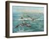 Pelican Beach-Bruce Nawrocke-Framed Art Print