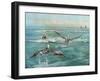 Pelican Beach-Bruce Nawrocke-Framed Art Print