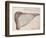 Pelican, C.1590-John White-Framed Giclee Print