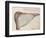 Pelican, C.1590-John White-Framed Giclee Print