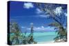 Pelican Cay-Larry Malvin-Stretched Canvas