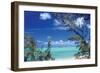 Pelican Cay-Larry Malvin-Framed Photographic Print