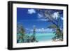 Pelican Cay-Larry Malvin-Framed Photographic Print