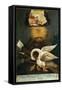 Pelican, Early 19th C-null-Framed Stretched Canvas