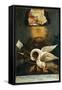 Pelican, Early 19th C-null-Framed Stretched Canvas