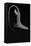 Pelican Eel-Sandra J. Raredon-Framed Stretched Canvas