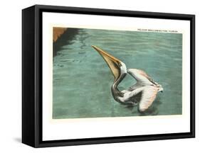 Pelican, Florida-null-Framed Stretched Canvas