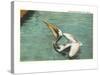 Pelican, Florida-null-Stretched Canvas