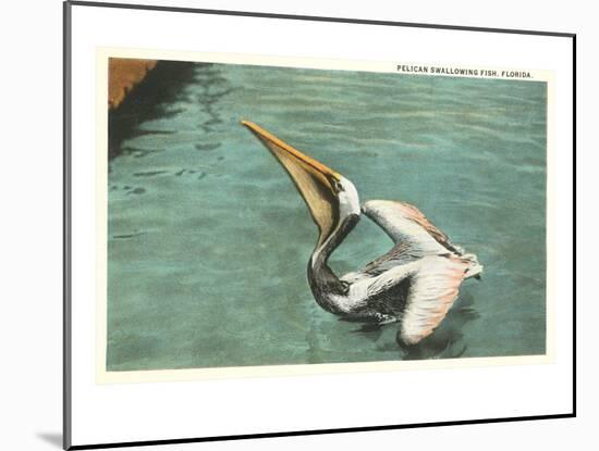 Pelican, Florida-null-Mounted Art Print