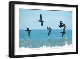 Pelican II-Bruce Nawrocke-Framed Photographic Print