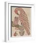 Pelican in it's Piety, C.1800-null-Framed Giclee Print