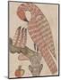 Pelican in it's Piety, C.1800-null-Mounted Giclee Print