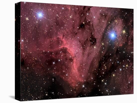 Pelican Nebula-Stocktrek Images-Stretched Canvas