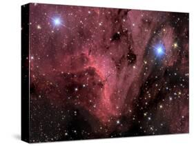 Pelican Nebula-Stocktrek Images-Stretched Canvas