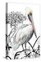 Pelican on Branch II-Patricia Pinto-Stretched Canvas