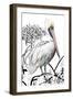 Pelican on Branch II-Patricia Pinto-Framed Art Print