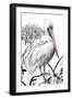 Pelican on Branch II-Patricia Pinto-Framed Art Print