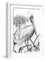 Pelican on Branch II-Patricia Pinto-Framed Art Print