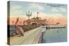 Pelican on Pier, St. Petersburg, Florida-null-Stretched Canvas