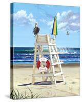 Pelican Perch-Scott Westmoreland-Stretched Canvas