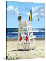 Pelican Perch-Scott Westmoreland-Stretched Canvas