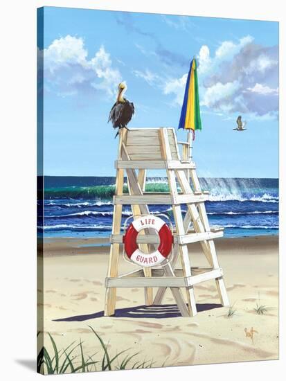 Pelican Perch-Scott Westmoreland-Stretched Canvas