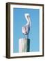 Pelican Perched I-Kathy Mansfield-Framed Art Print