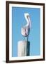 Pelican Perched I-Kathy Mansfield-Framed Art Print