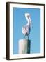 Pelican Perched I-Kathy Mansfield-Framed Art Print