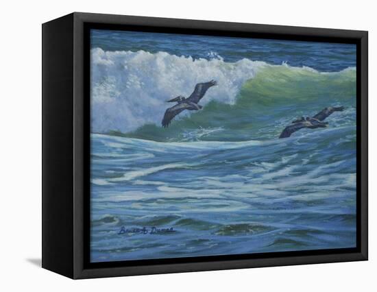 Pelican Skimmers-Bruce Dumas-Framed Stretched Canvas