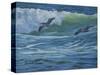 Pelican Skimmers-Bruce Dumas-Stretched Canvas