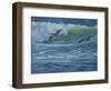 Pelican Skimmers-Bruce Dumas-Framed Giclee Print