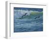 Pelican Skimmers-Bruce Dumas-Framed Giclee Print