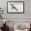 Pelican Spread-Chris Moyer-Framed Photographic Print displayed on a wall