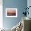 Pelican Sunrise-Matthew Lusk-Framed Giclee Print displayed on a wall
