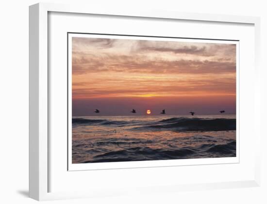Pelican Sunrise-Matthew Lusk-Framed Giclee Print
