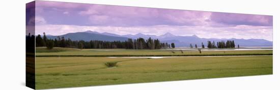 Pelican Valley, Yellowstone National Park, Wyoming, USA-null-Stretched Canvas