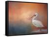 Pelican Walk-Jai Johnson-Framed Stretched Canvas