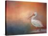 Pelican Walk-Jai Johnson-Stretched Canvas