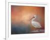 Pelican Walk-Jai Johnson-Framed Giclee Print